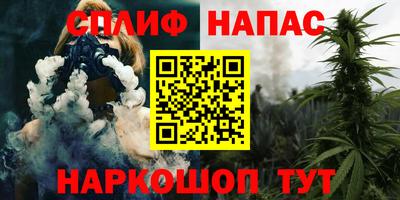 гидра Нарткала