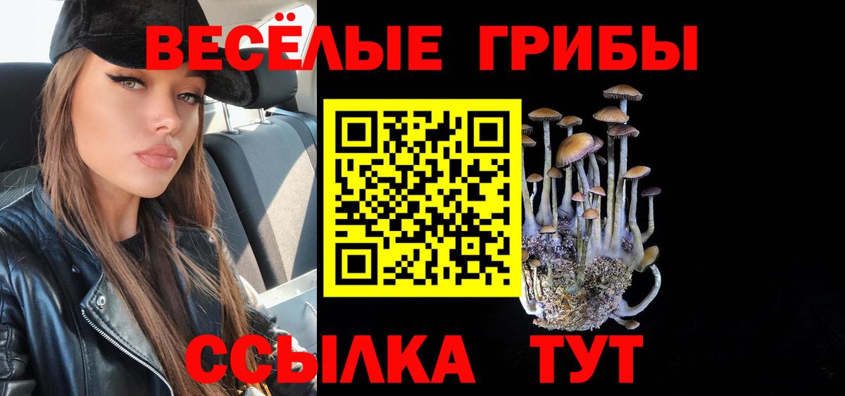 Псилоцибиновые грибы Psilocybe Выкса