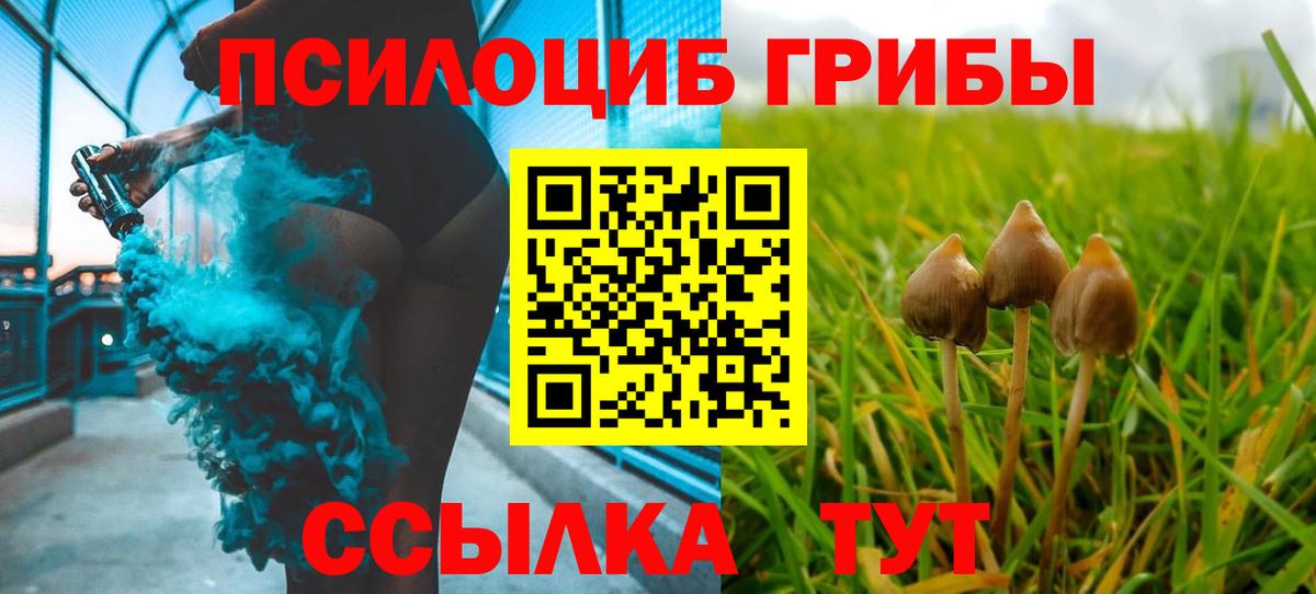 Выкса  Галлюциногенные грибы Psilocybine cubensis  Вход с VPN 