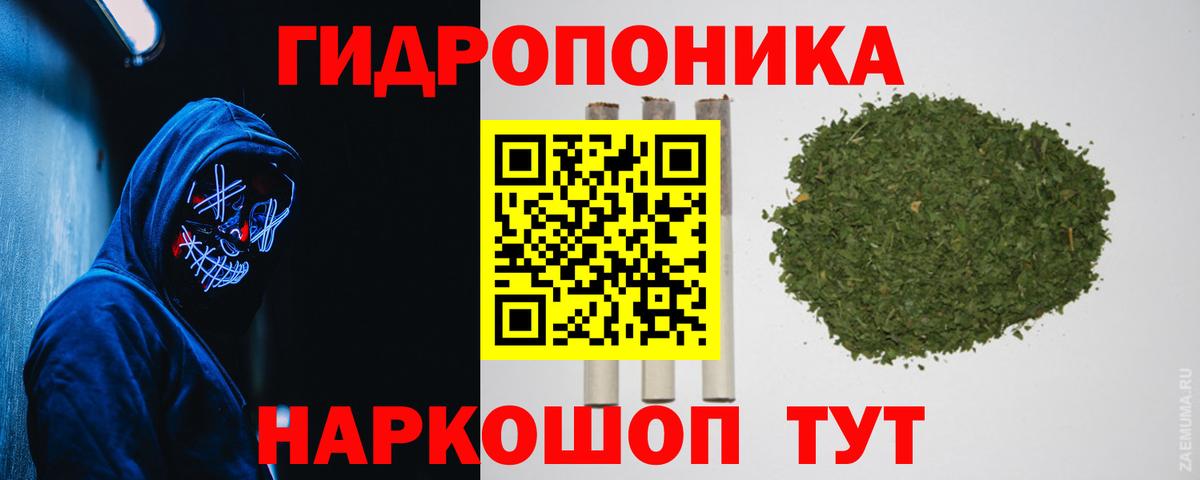 Шишки марихуана SATIVA & INDICA  Вход с VPN  Бошки Шишки Ganja  Шишки марихуана MAZAR  Выкса  Бошки Шишки план 
