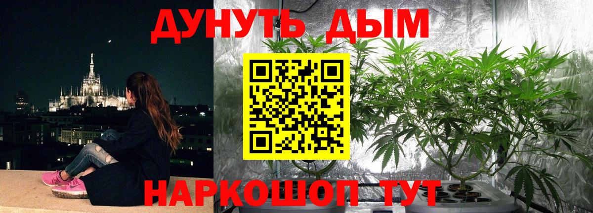 Бошки Шишки планчик Выкса